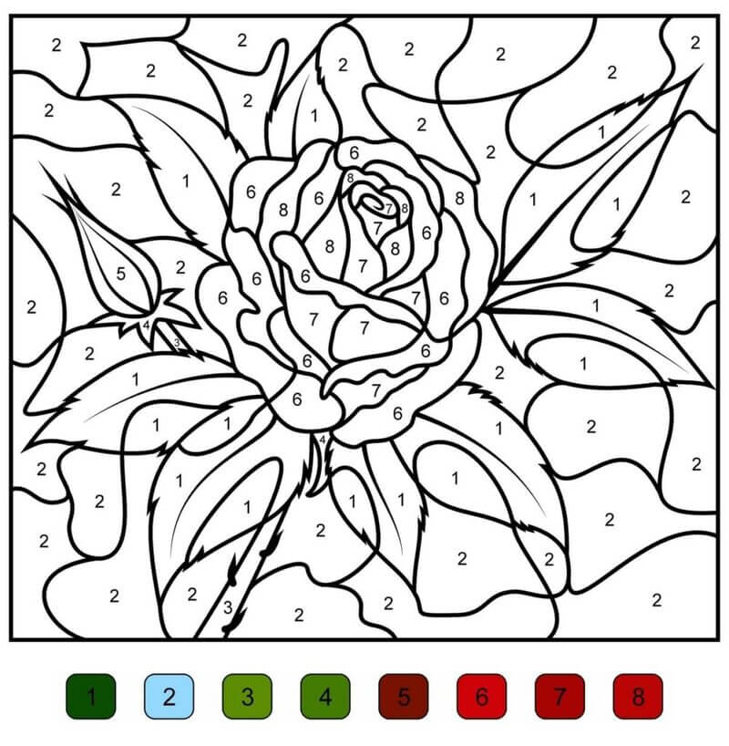 Hard Rose color by number