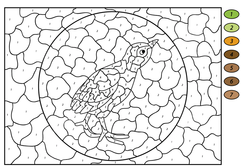 Little Turkey color by number