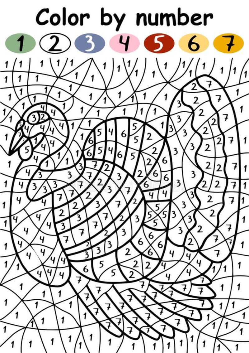 Mature turkey color by number