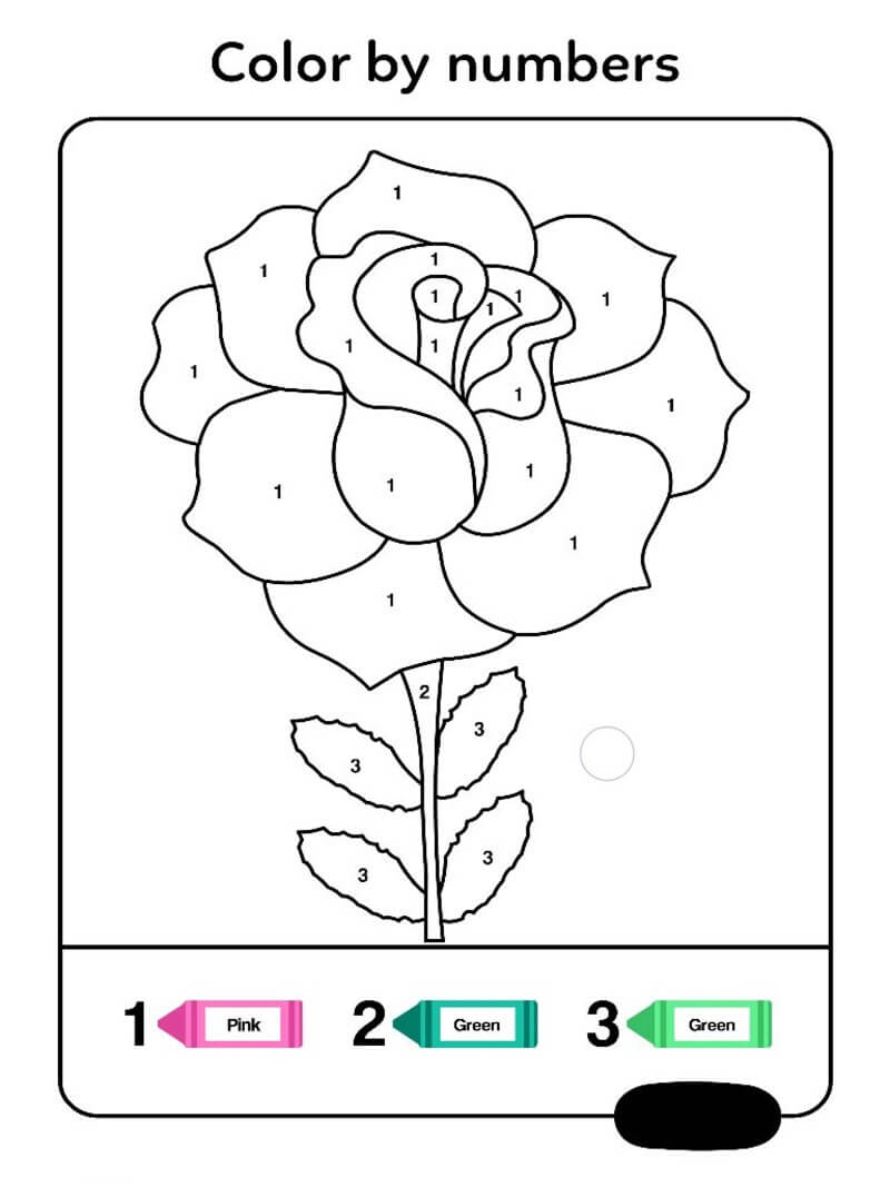 Rose Color By Number