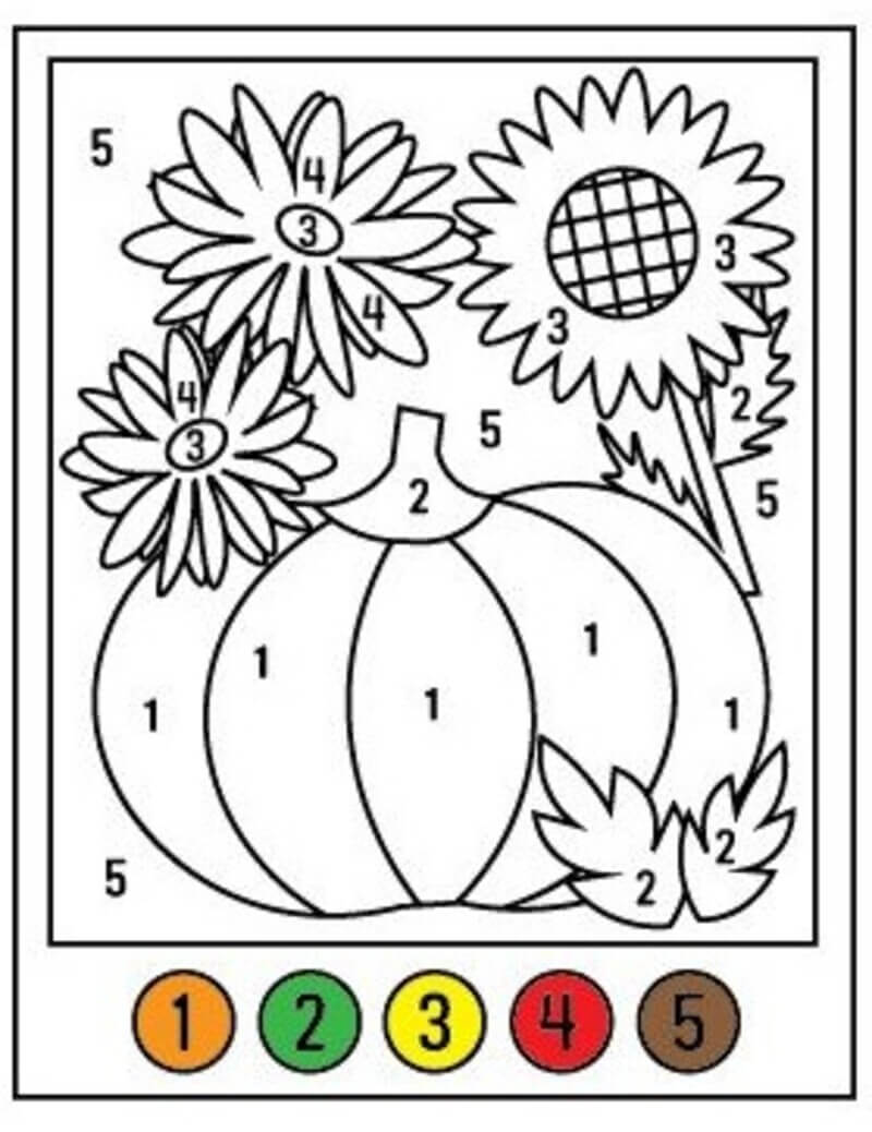 Pumpkin with Autumnal Flowers color by number