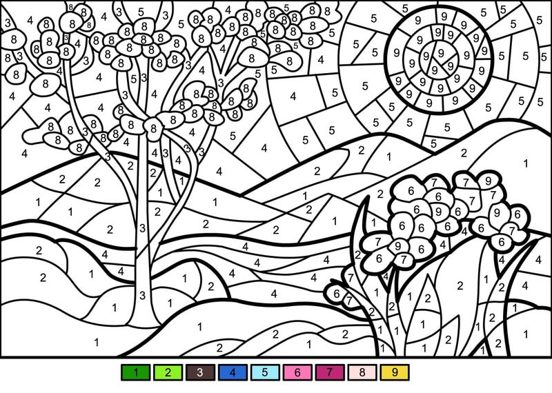 Spring scene color by number