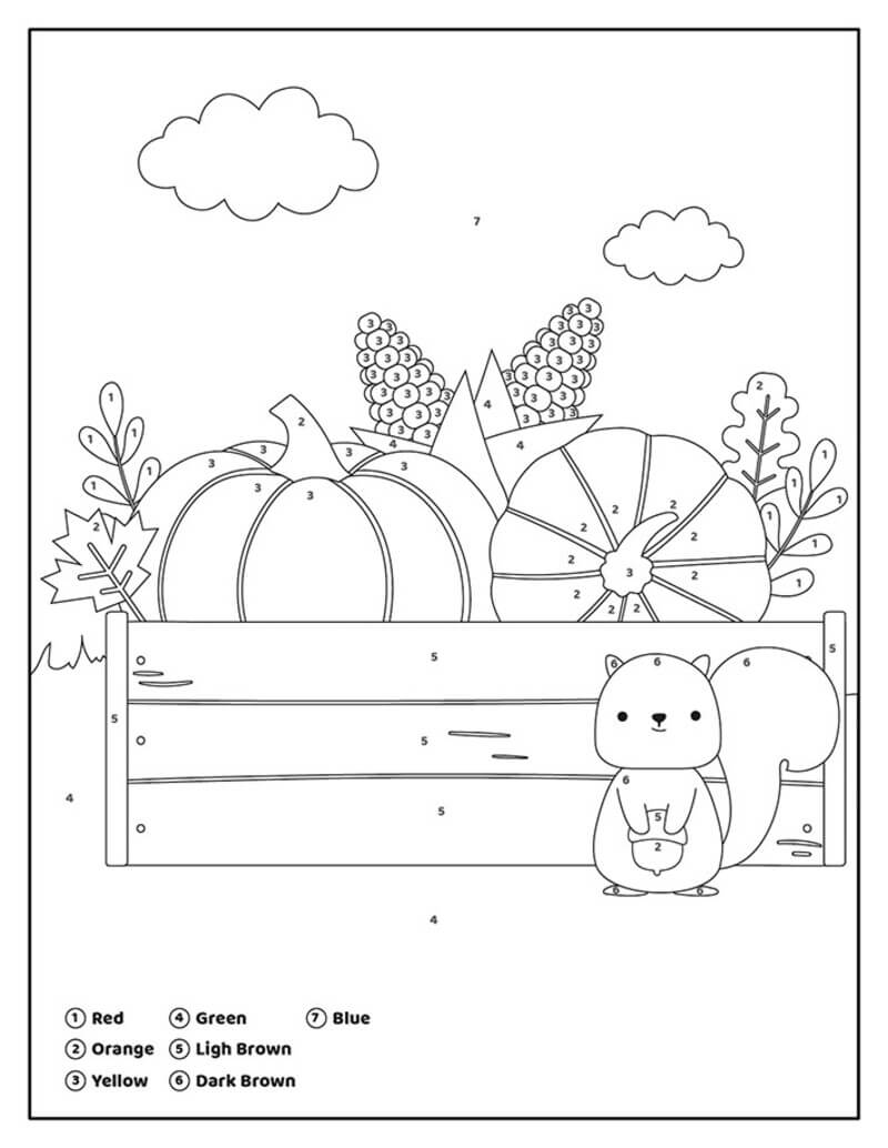 The Squirrel and the Pumpkins color by number