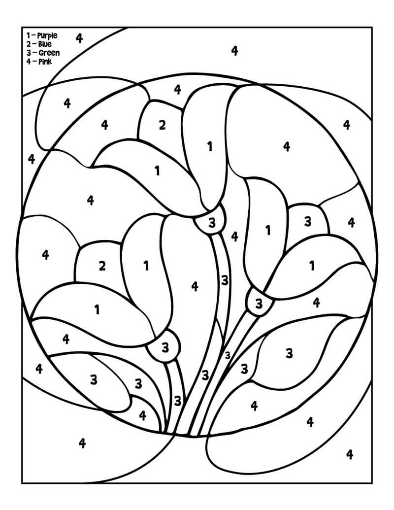 Three Spring flowers color by number