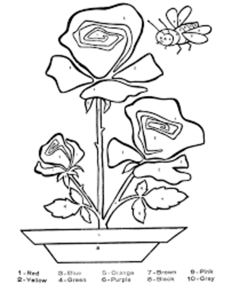 Vase of roses and bee color by number