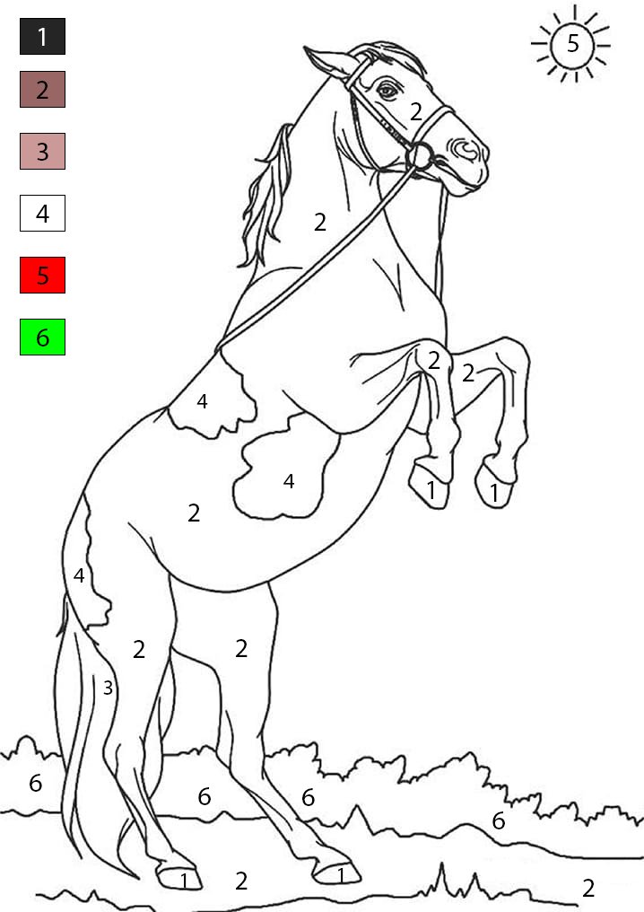 Awesome Horse Color By Number