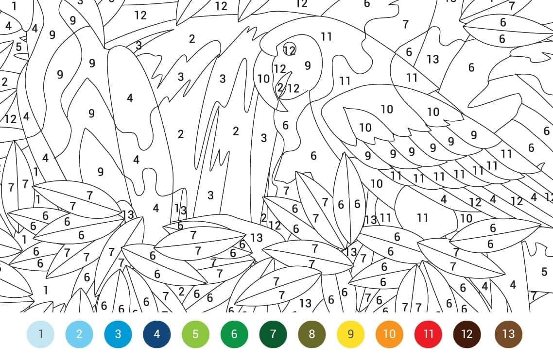 Difficult Bird Color By Number