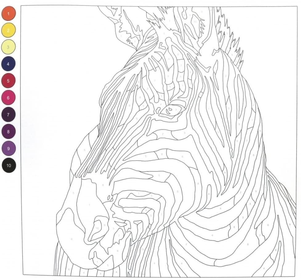 Difficult Zebra Color By Number