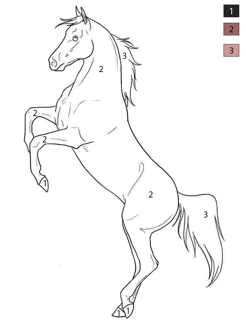 Horse Free Color By Number