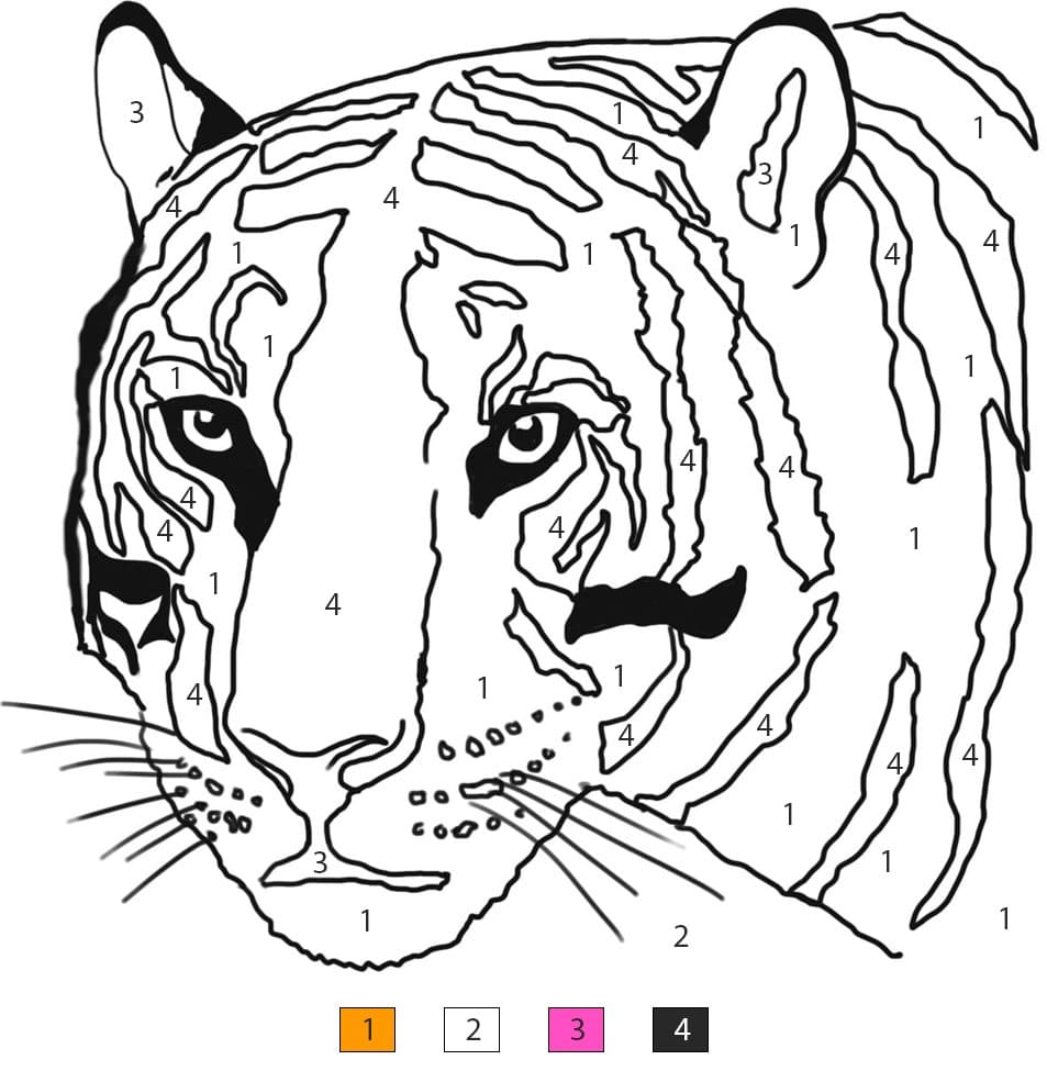 Tiger Head Color By Number