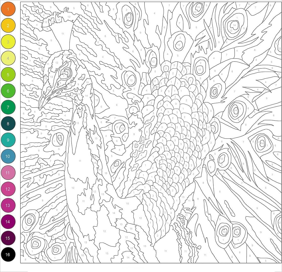 Difficult Peacock color by number