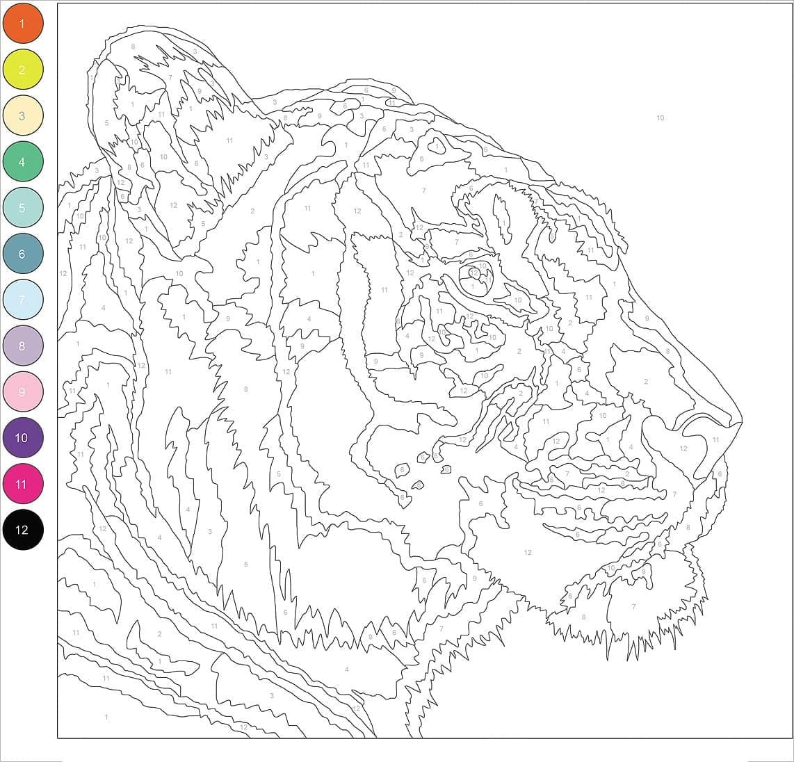 Difficult tiger color by number