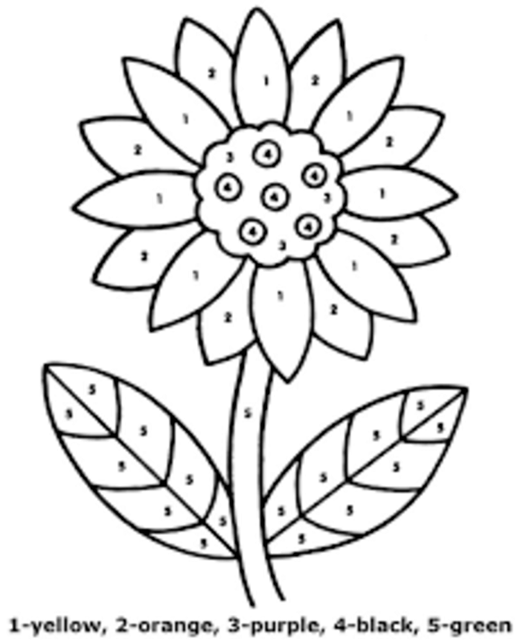 Easy Beauty Flower color by number