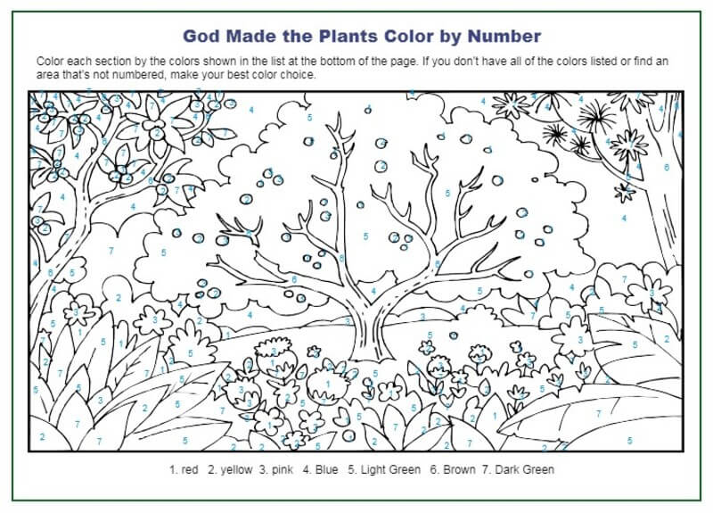 God made the plants color by number
