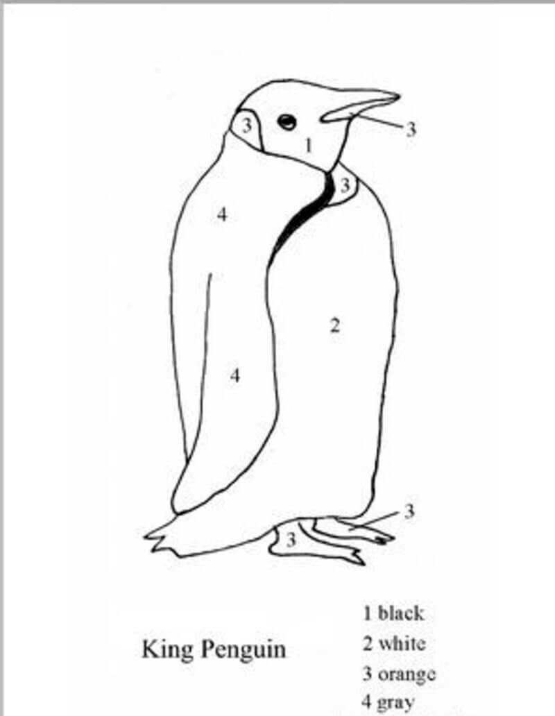 King Penguin color by number
