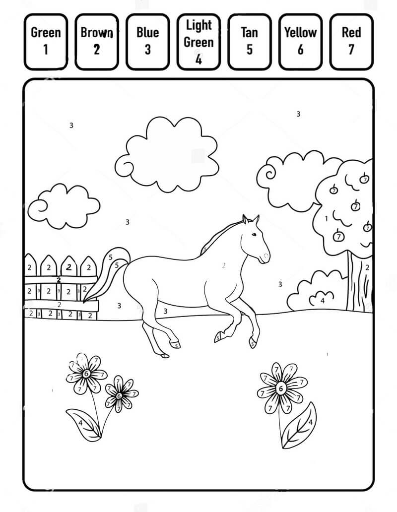 Horse Color By Number
