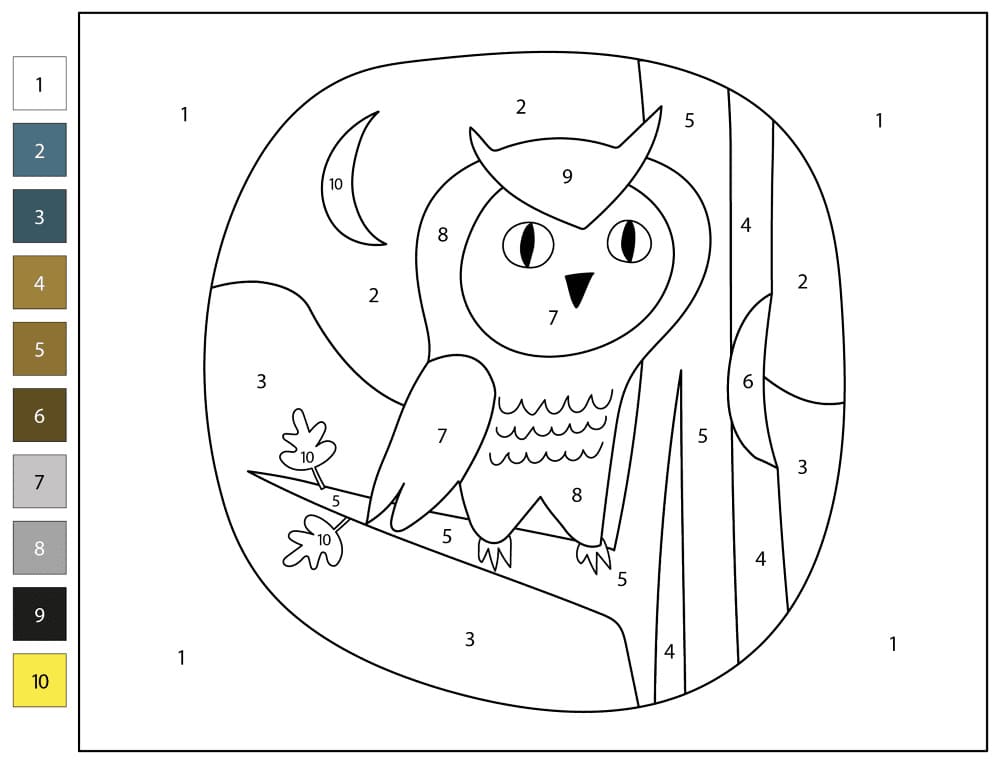 A Curious Owl Color By Number