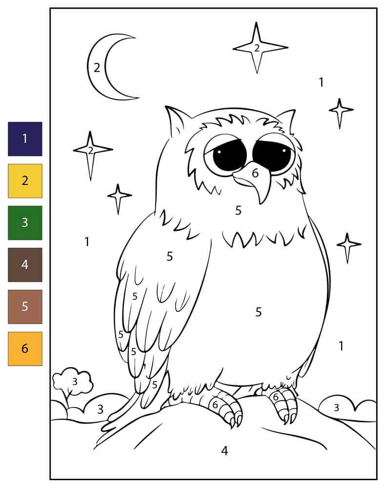 A Cute Owl Color By Number