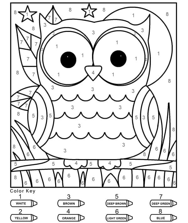 Cartoon Lovely Owl Color By Number