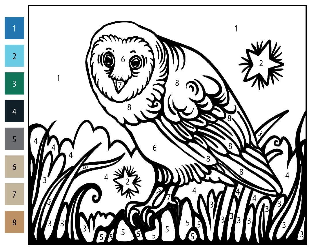 Curious Owl Color By Number