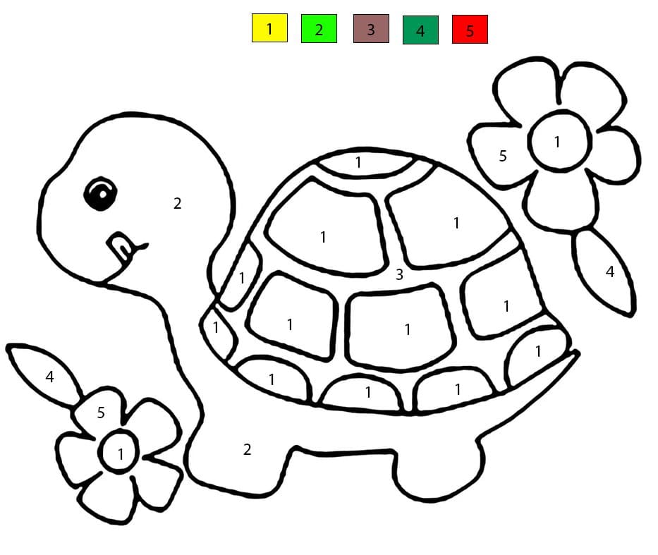 Cute Turtle and Flowers Color By Number Color By Number