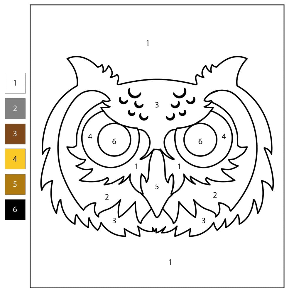 Face Owl Color By Number