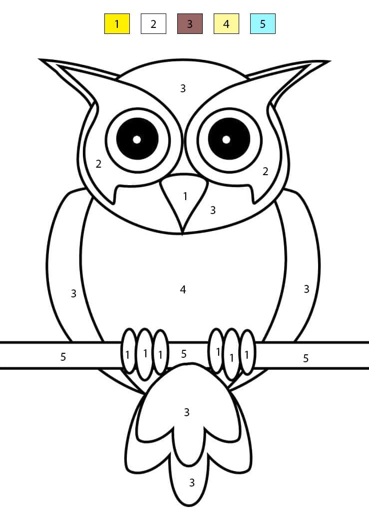 Free Owl Color By Number
