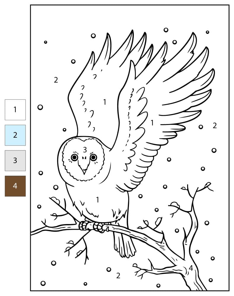 Funny Owl Color By Number