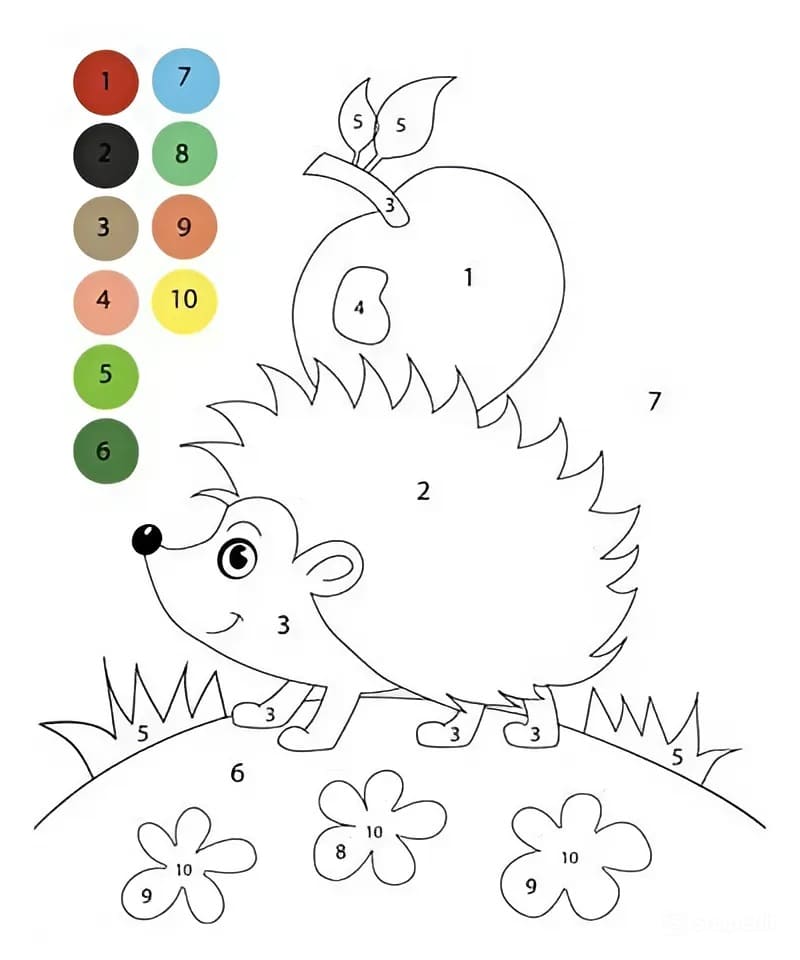 Hedgehog and Apple Color By Number