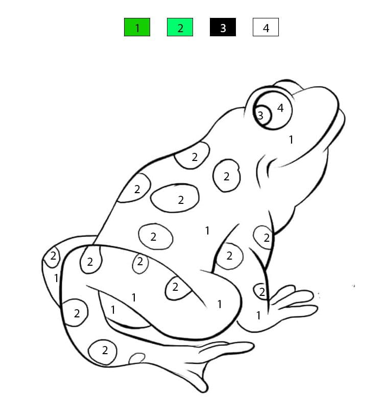 Hilarious Frog Color By Number