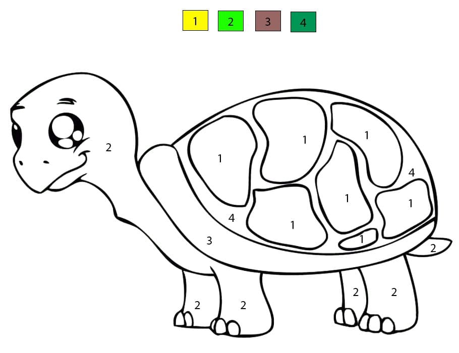Kawaii Turtle Color By Number Color By Number
