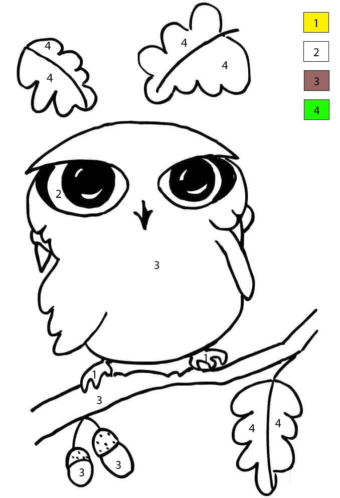 Little Owl Color By Number
