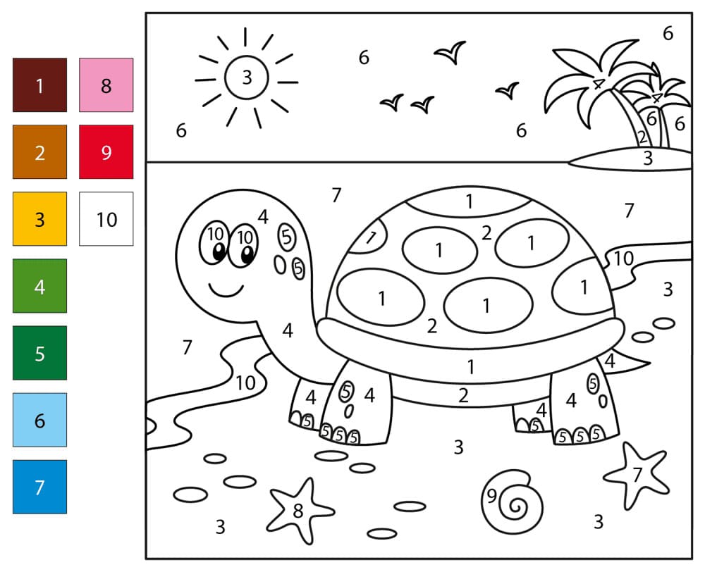 Little Turtle Color By Number Color By Number