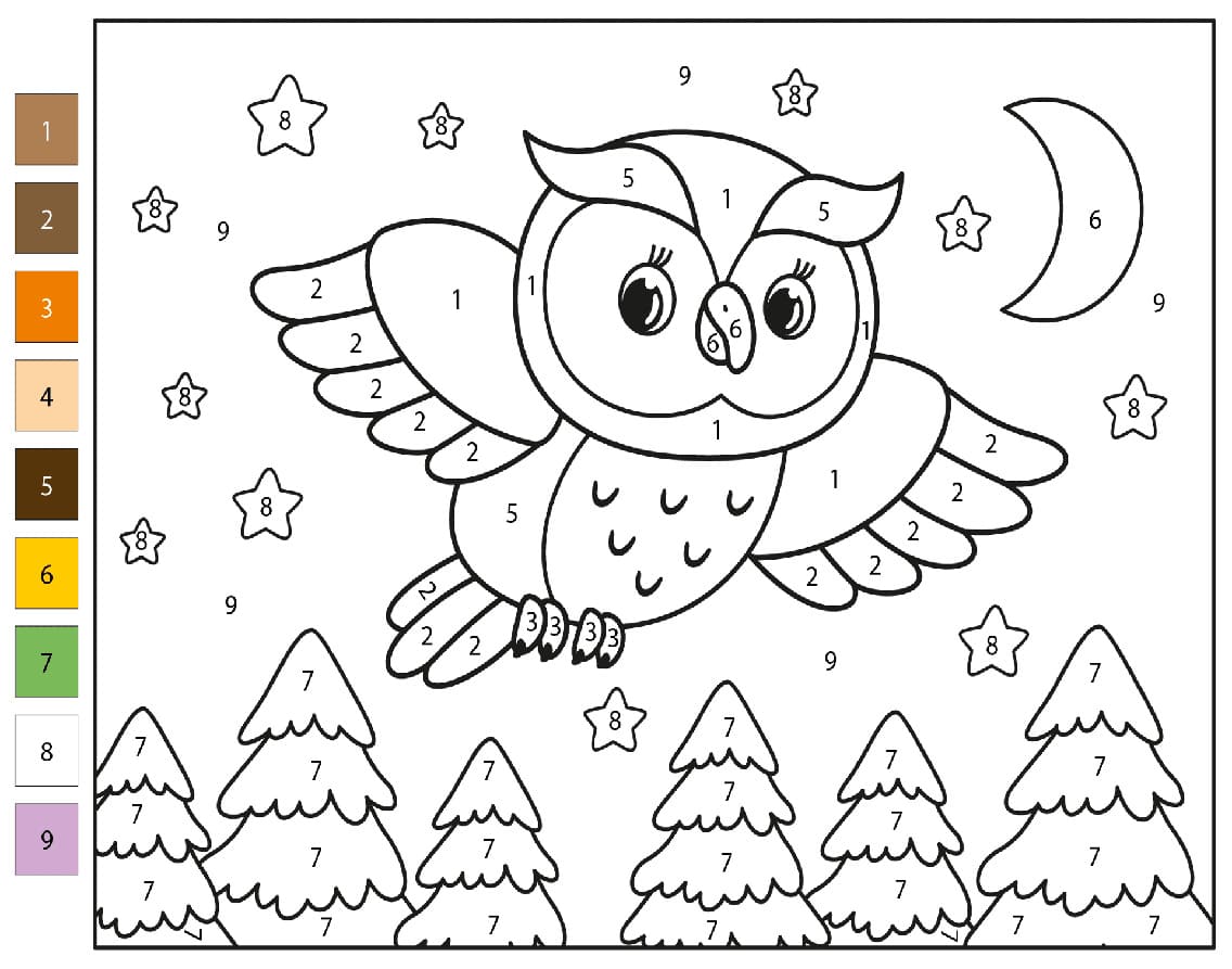 Nice Owl Color By Number