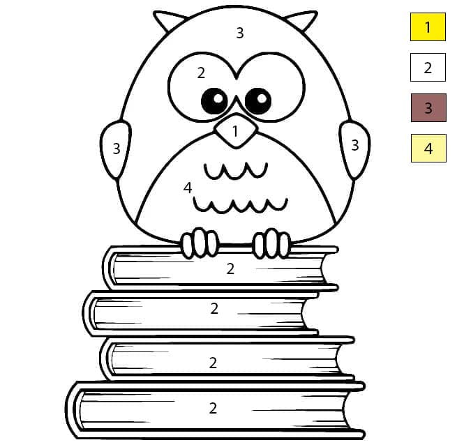 Owl with Books Color By Number