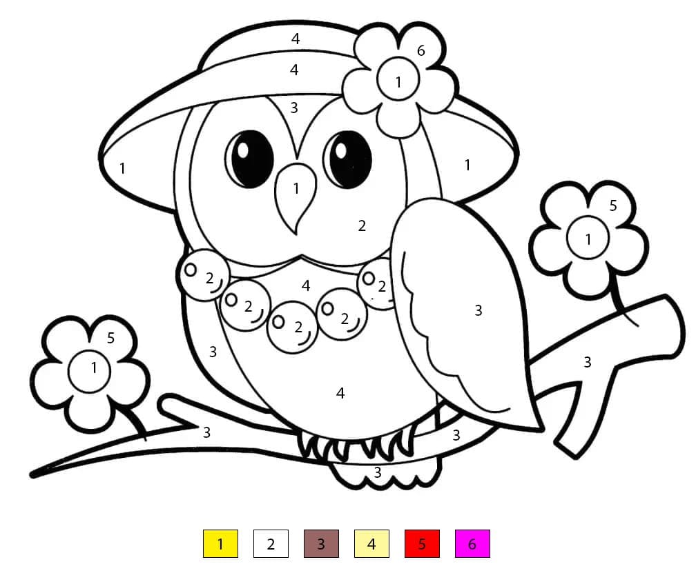Pretty Owl Color By Number