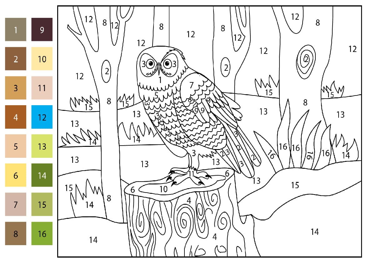 Printable Owl Color By Number