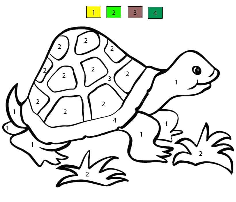 Turtle Free Color By Number Color By Number