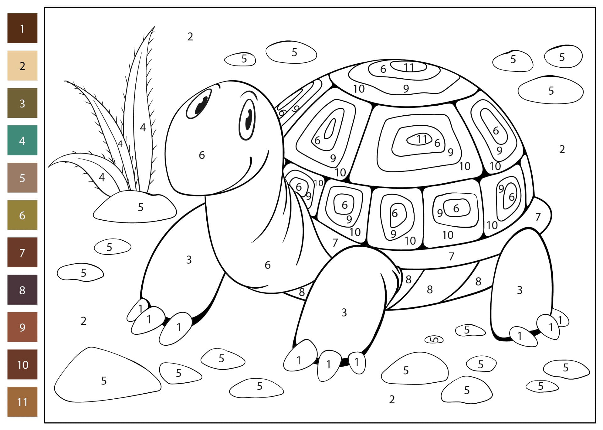 Turtle Funny Color By Number Color By Number