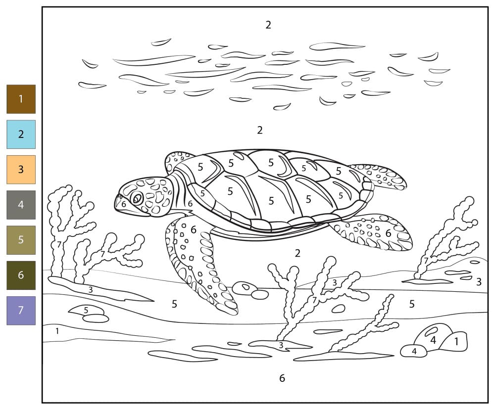 Turtle In Ocean Color By Number Color By Number