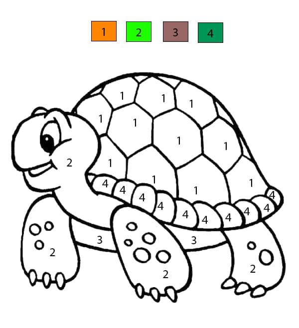 Turtle Print Color By Number Color By Number