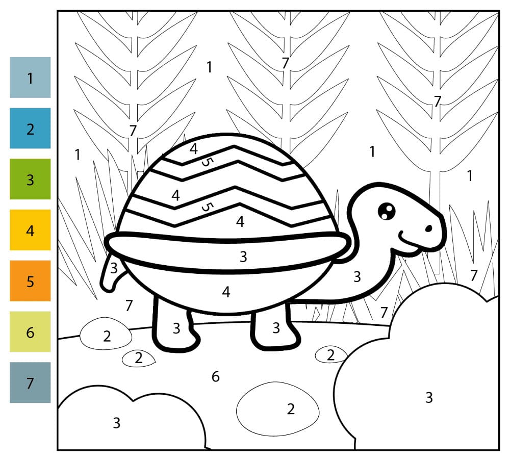 Turtle Smile Color By Number