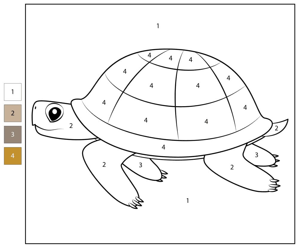 Turtle Swiming Color By Number Color By Number