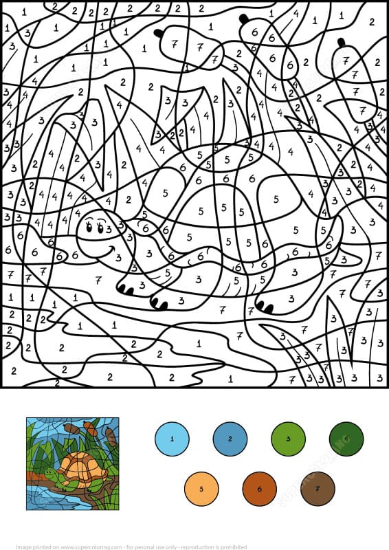 Turtle in Pond Color By Number Color By Number