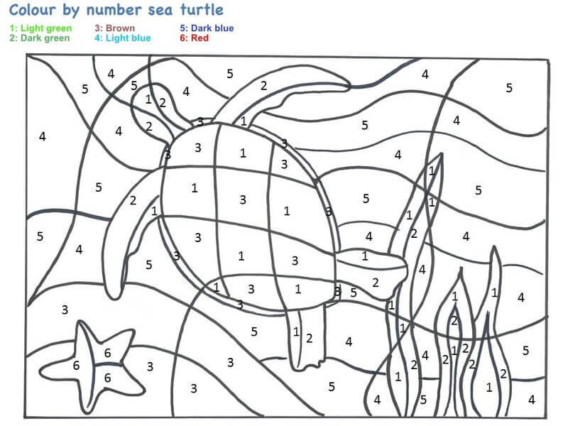 Big Turtle color by number Color By Number