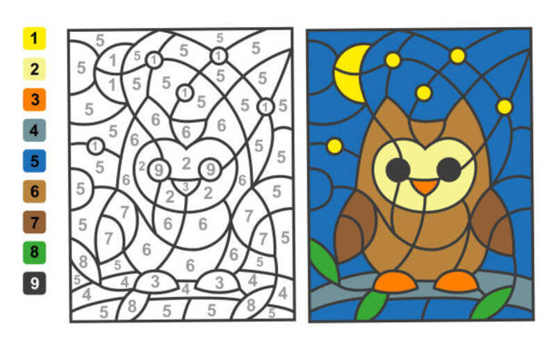 Brown owl color by number