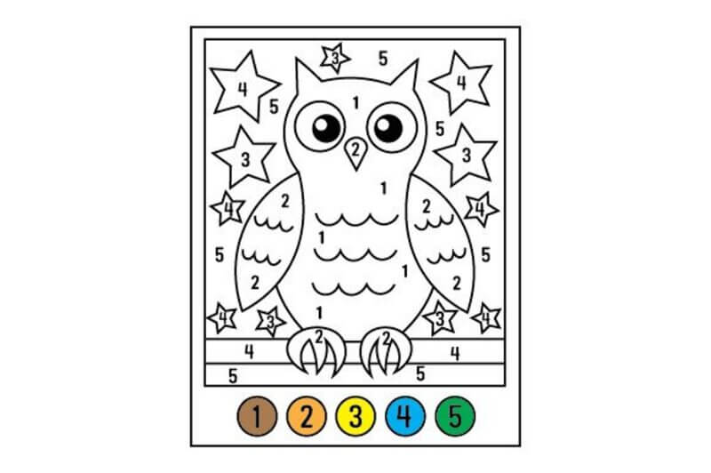 Cute Owl color by number