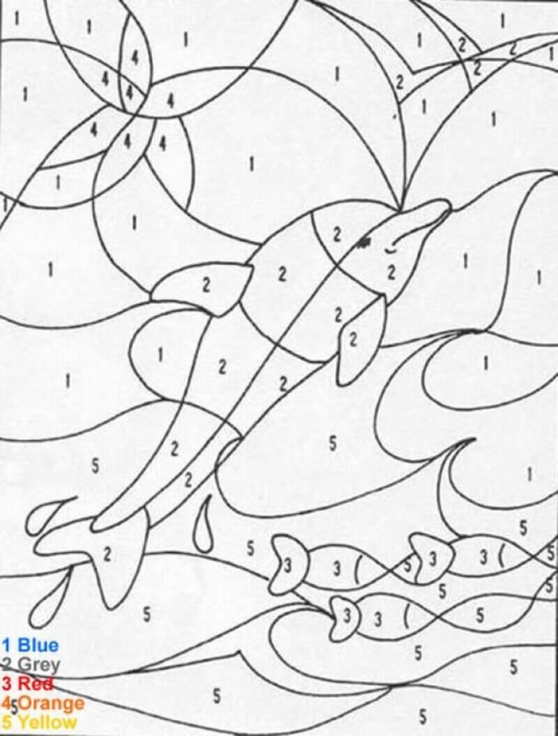 Dolphin color by number