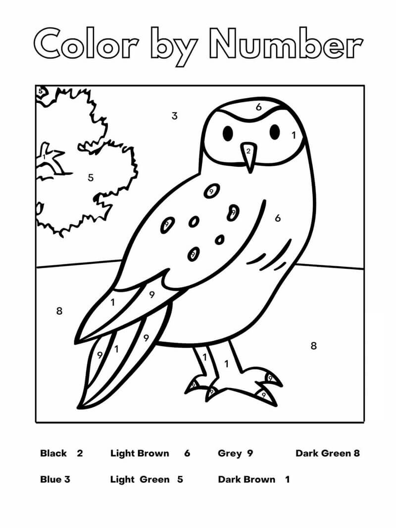 Easy Owl color by number