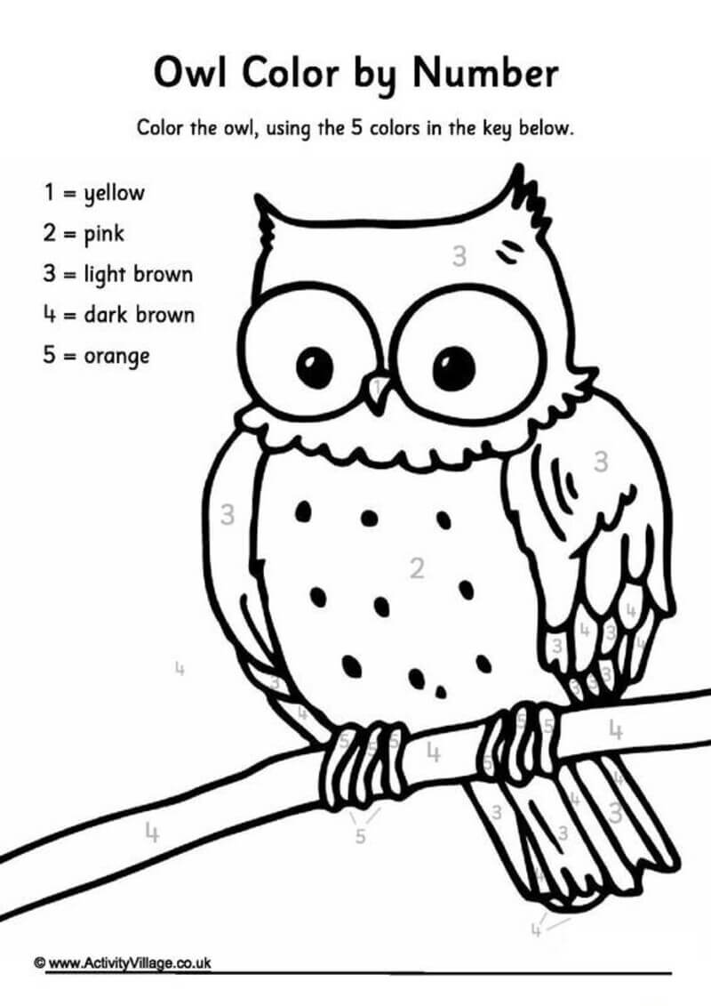 Fat Owl color by number